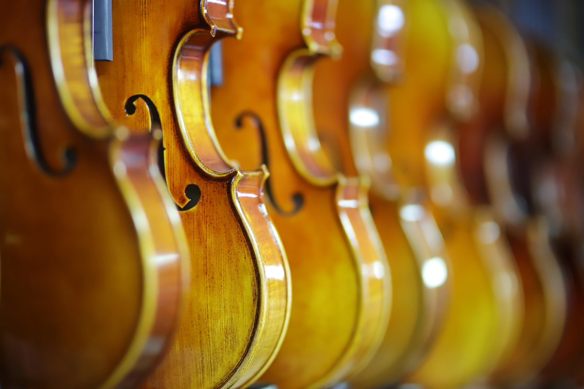 ビオラとバイオリンの違いって何 コラム 名古屋の音楽教室ならクラブナージ