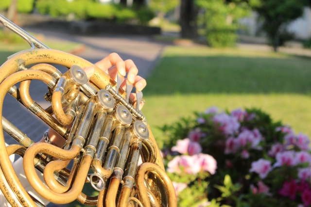 シングル管とダブル管、どっちを選ぶ？ ホルン選びの基本を分かりやすく解説！
