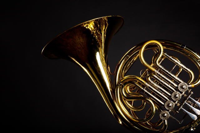 珍しい編成、しかし傑作！ブラームスの「ホルン三重奏曲 変ホ長調 作品40」