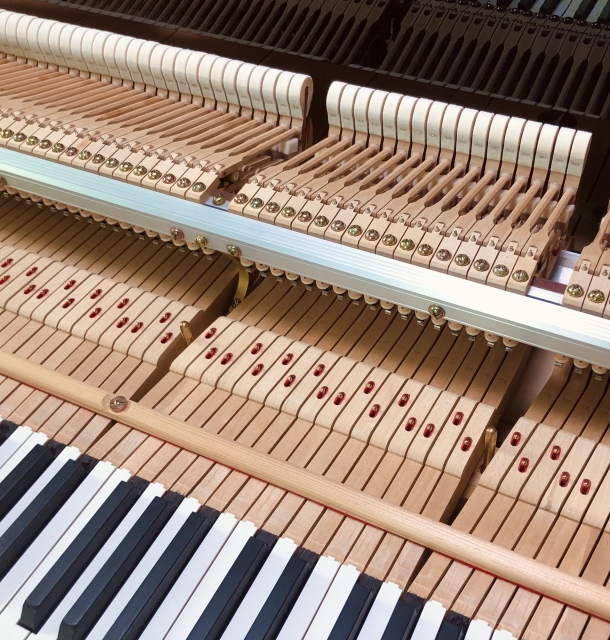 リャードフの隠れた名作とは？『バーラミノフの主題による変奏曲』の魅力を徹底解説