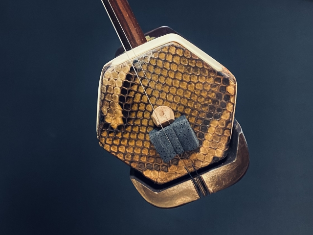 (前編)二胡演奏の基本テクニック：初心者からのスタートガイド