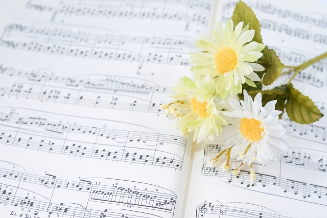 三線の旋律にのせて – 沖縄民謡の魅力を紐解く