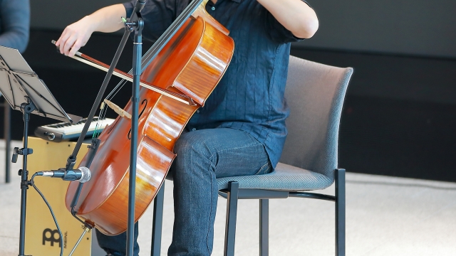 チェロを選ぶ際のポイント