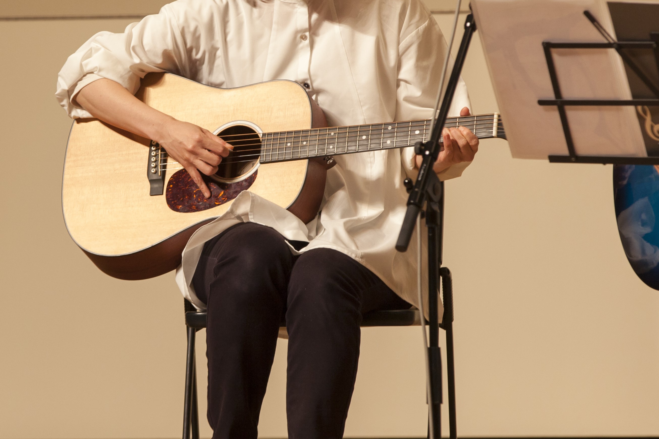 アコースティックギターと調和する楽器：魔法のような音楽コラボレーションを探求