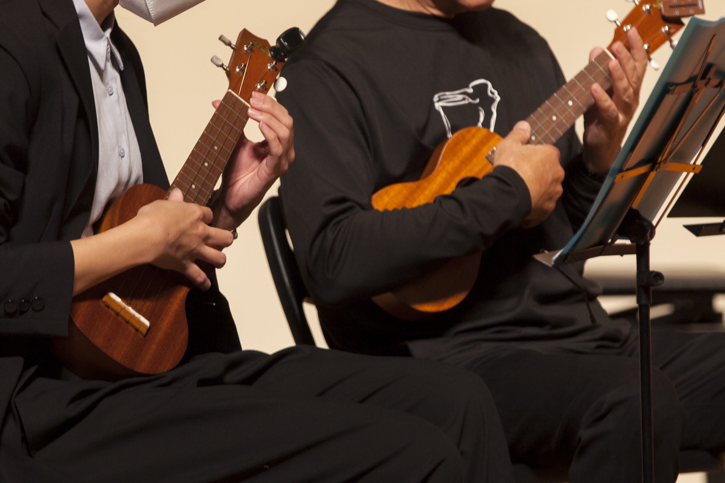 ウクレレで弾ける意外なジャンル：楽器の多様性を探る