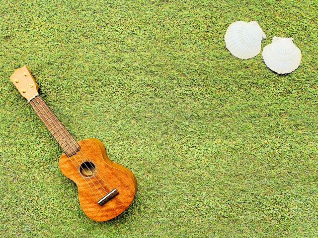 ウクレレ奏者になるための秘訣：初心者からプロフェッショナルへの道のり