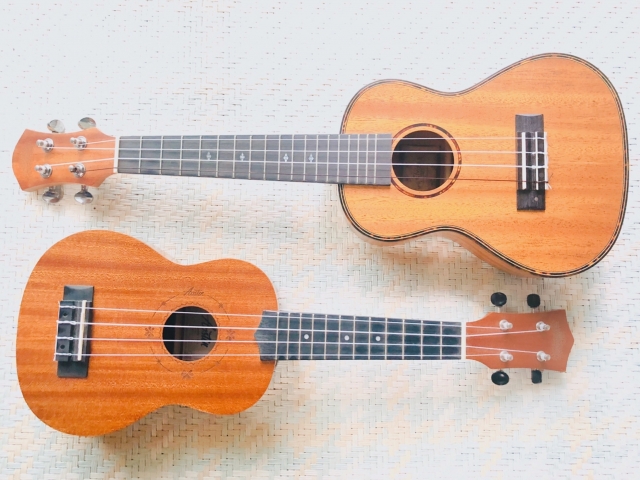 ウクレレの新たな冒険: クリエイティブな使い方の可能性