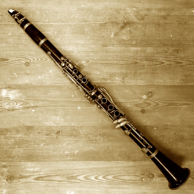 初心者のためのクラリネット演奏ガイド：正しいリードの選び方