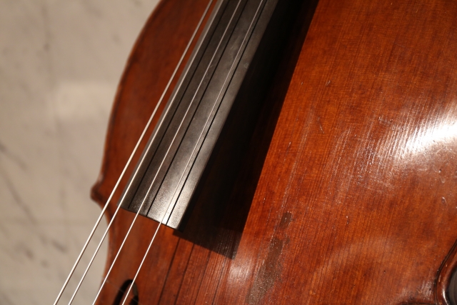 チェロと他の弦楽器の違いについて