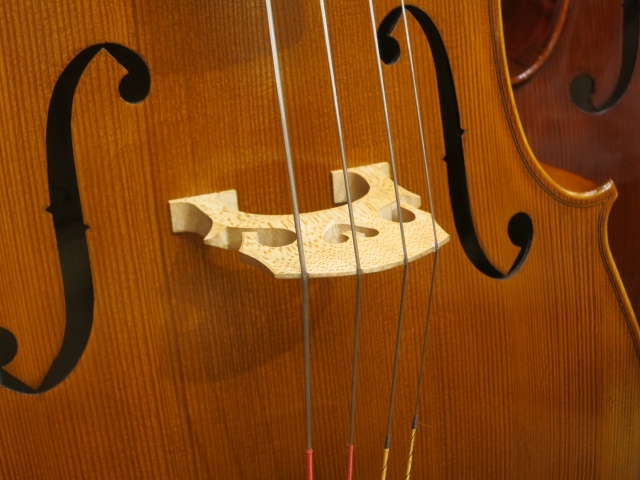 チェロ演奏と健康：美しい音色と身体の調和