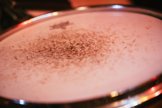 ドラムセットの歴史と進化：時代を超えるリズムの旅