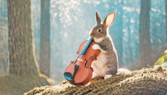 バイオリンを人前で演奏するときの心構えと克服すべきポイント