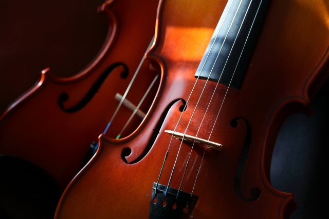 バイオリン初心者向け！バイオリンの毛替えについて解説