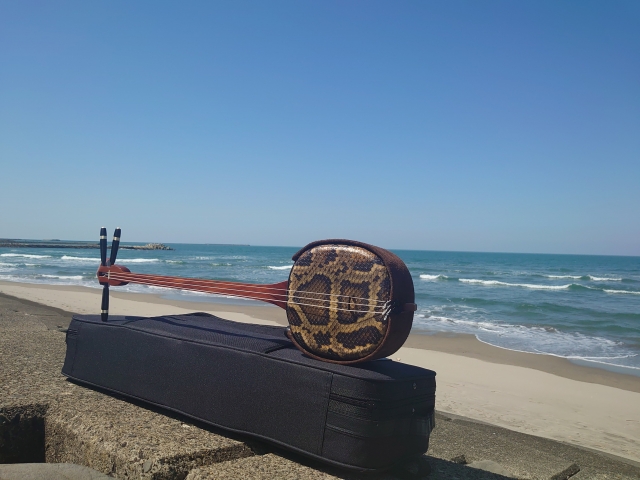 三線を始めよう！初心者でも楽しめる沖縄の曲たち