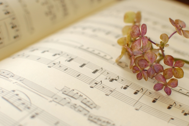 チェロのアンサンブル演奏: 響き合う楽しみ