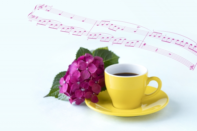 ビオラのお手入れ方法：簡単なステップで長持ちさせる秘訣