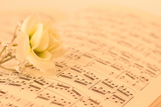 ビオラの教育とレッスンが重要な理由とは？音楽的成長を導く学びの旅