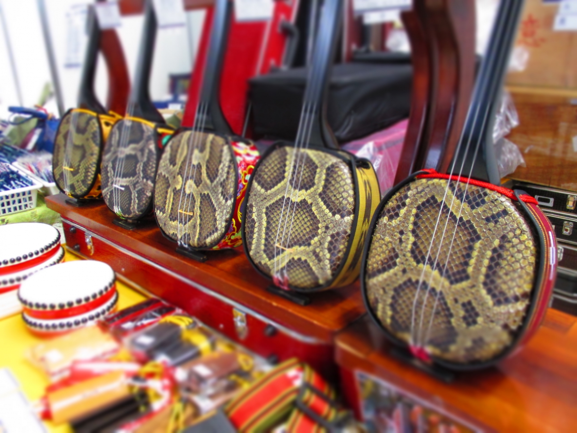 二胡・三味線・沖縄三線・琴・大正琴・尺八の始め方！初心者でも楽しく弾く大人の趣味レッスン教室ガイド