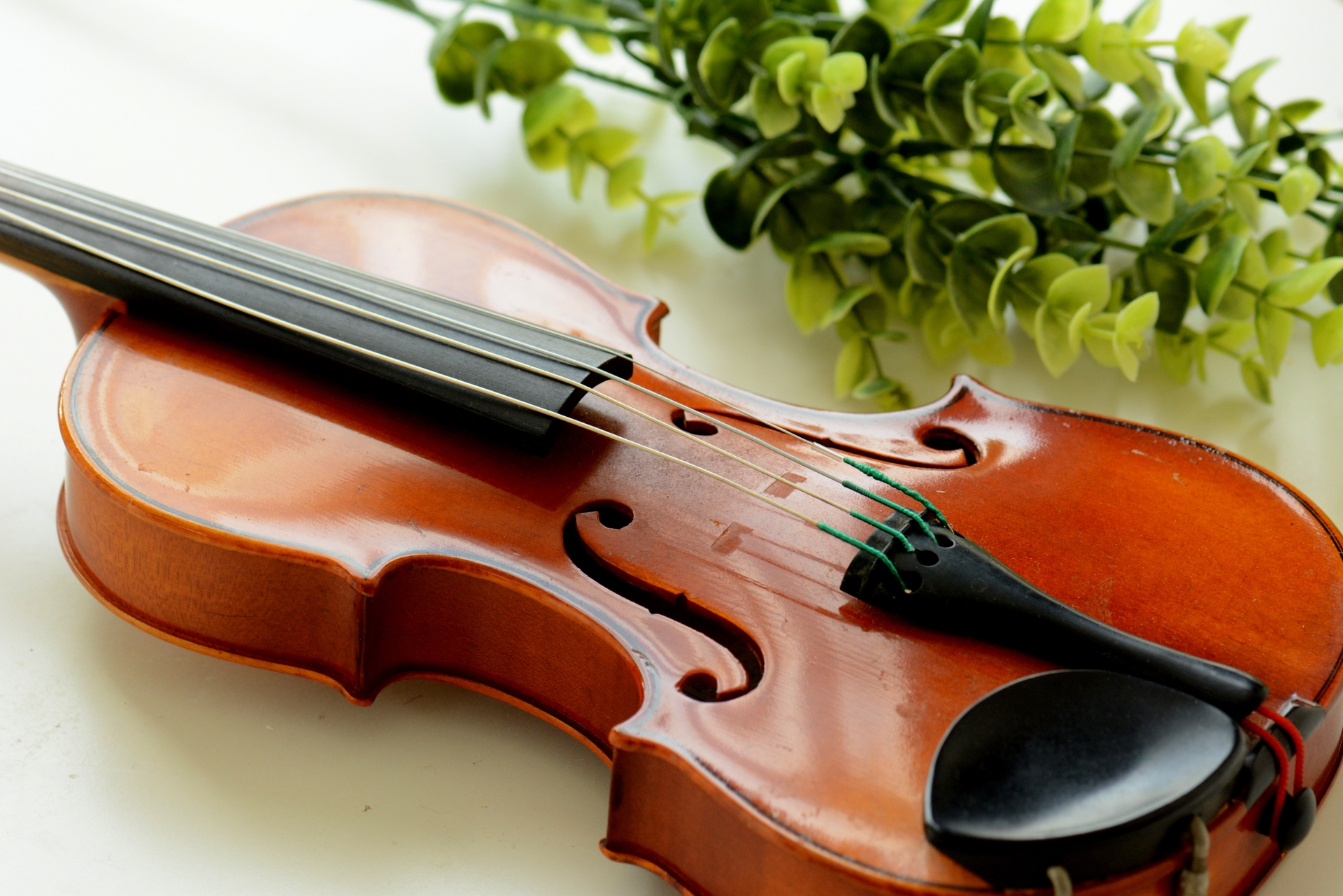 【大人からでもバイオリン！】初心者が知るべき5つのコツ