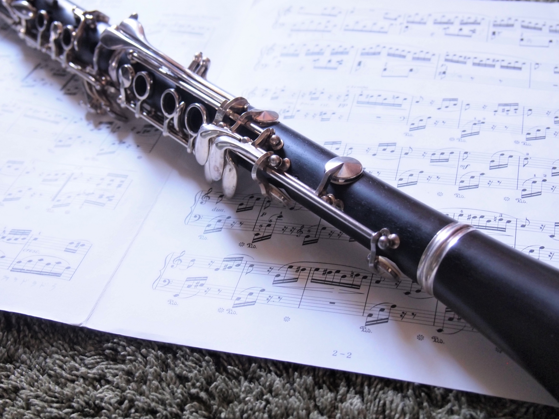 【木管楽器の種類】初心者必見！選び方のコツと注意点