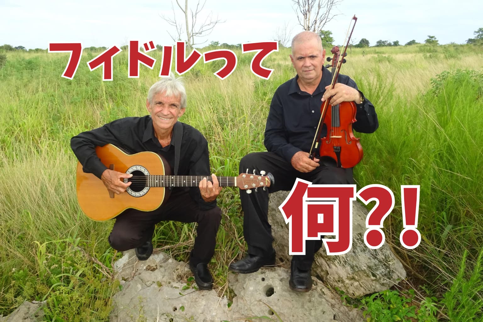 フィドルって何？バイオリンとは違うの？